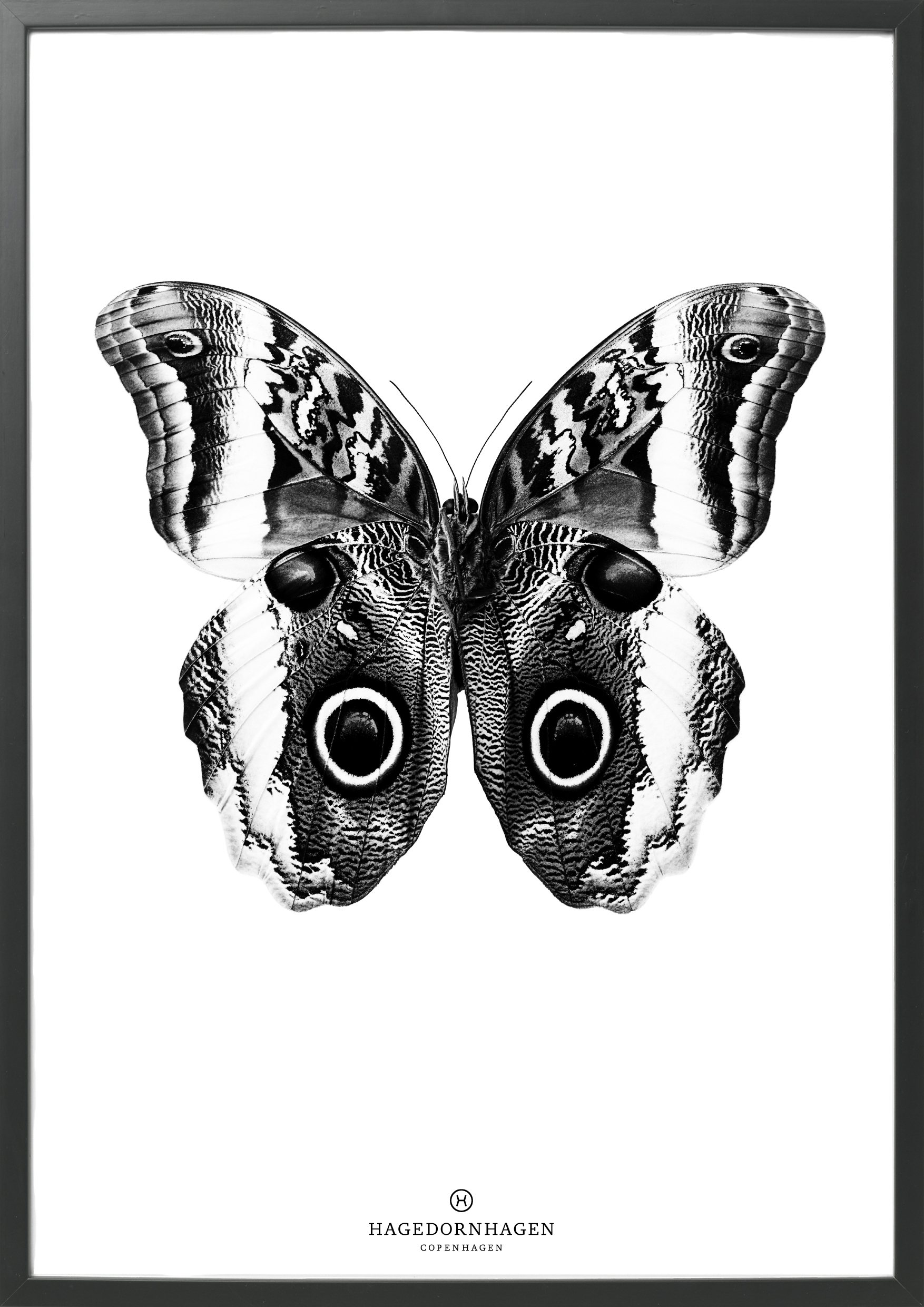 hagendornhagen-poster-butterfly